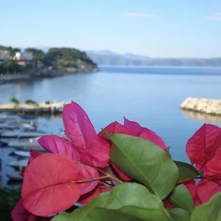 Διαμέρισμα Holiday Home Drasnice
